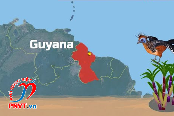 Xin miễn thị thực 5 năm cho người Guyana